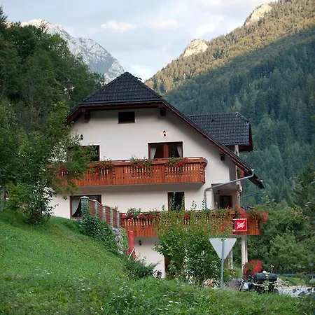 Prenocisca Valentina * Солчава