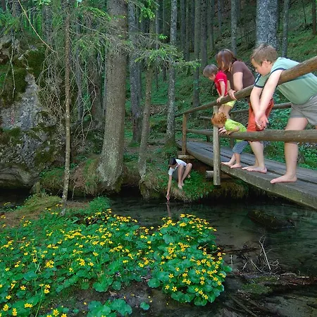 Prenocisca Valentina Проживание в семье Солчава