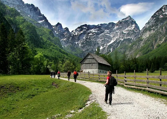 Prenocisca Valentina Ostanak kod kuće *