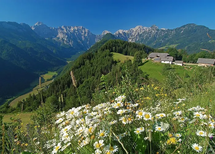 Nastanitev v družini Prenocisca Valentina *